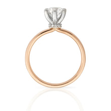 Load image into Gallery viewer, Platinum Engagement Ring 0.33ct Round Brilliant Cut - Hidden Halo
